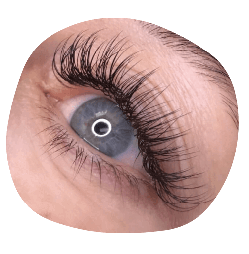 appointment classic-lash (1)